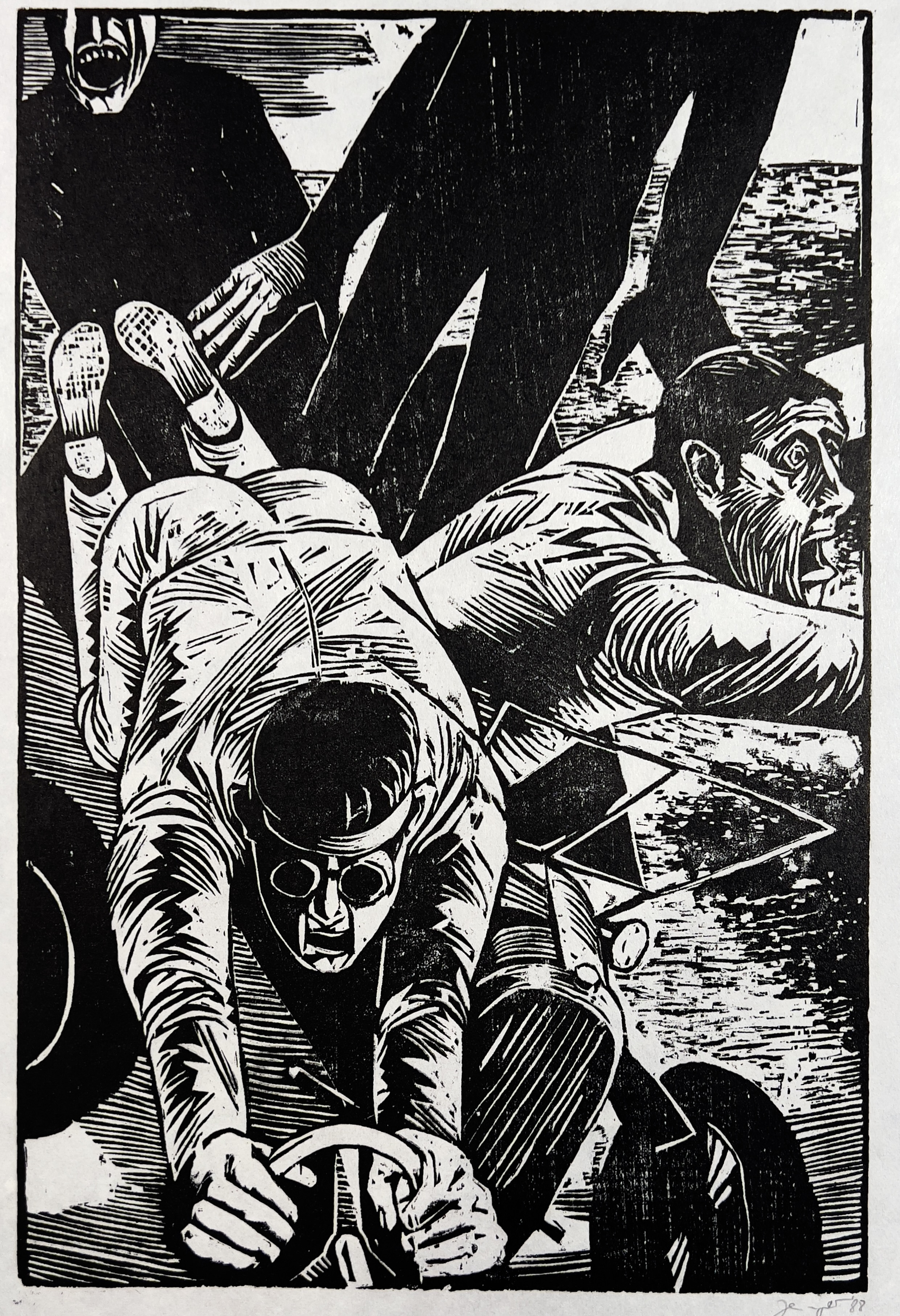 Das Ende der Antilope Gnu