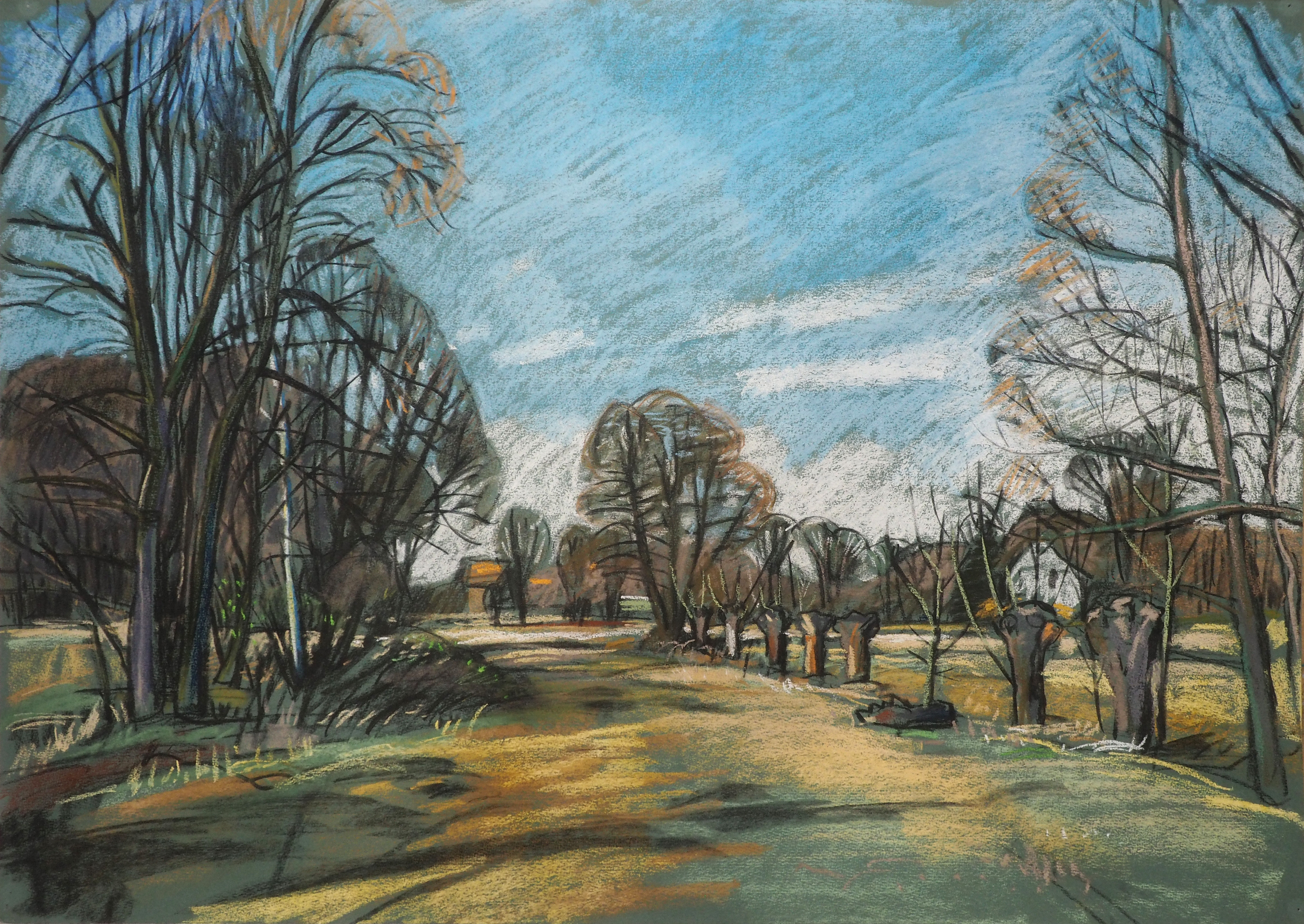 Kopfweiden im Spreewald