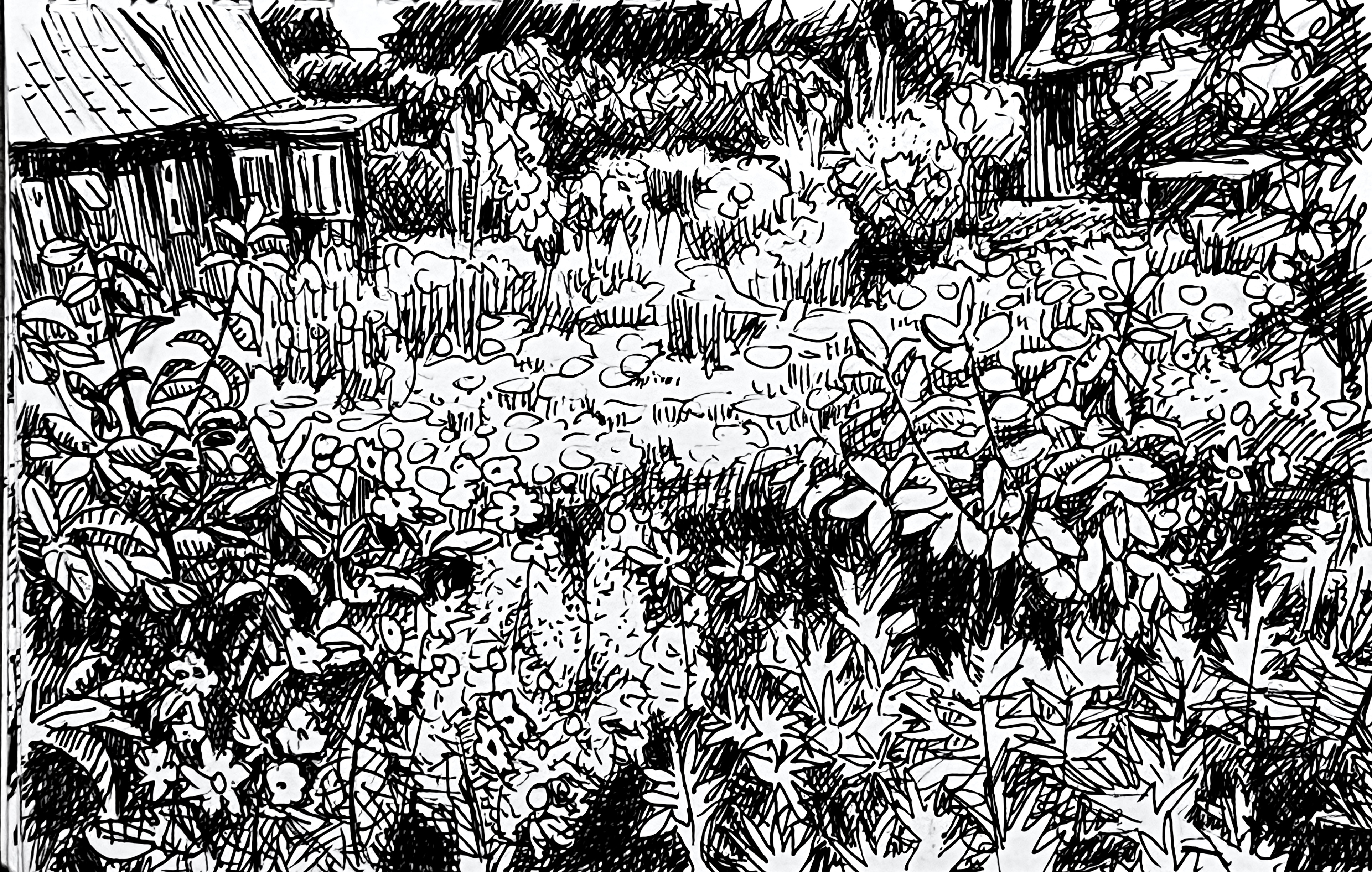 Kurische Nehrung - Garten in Nida