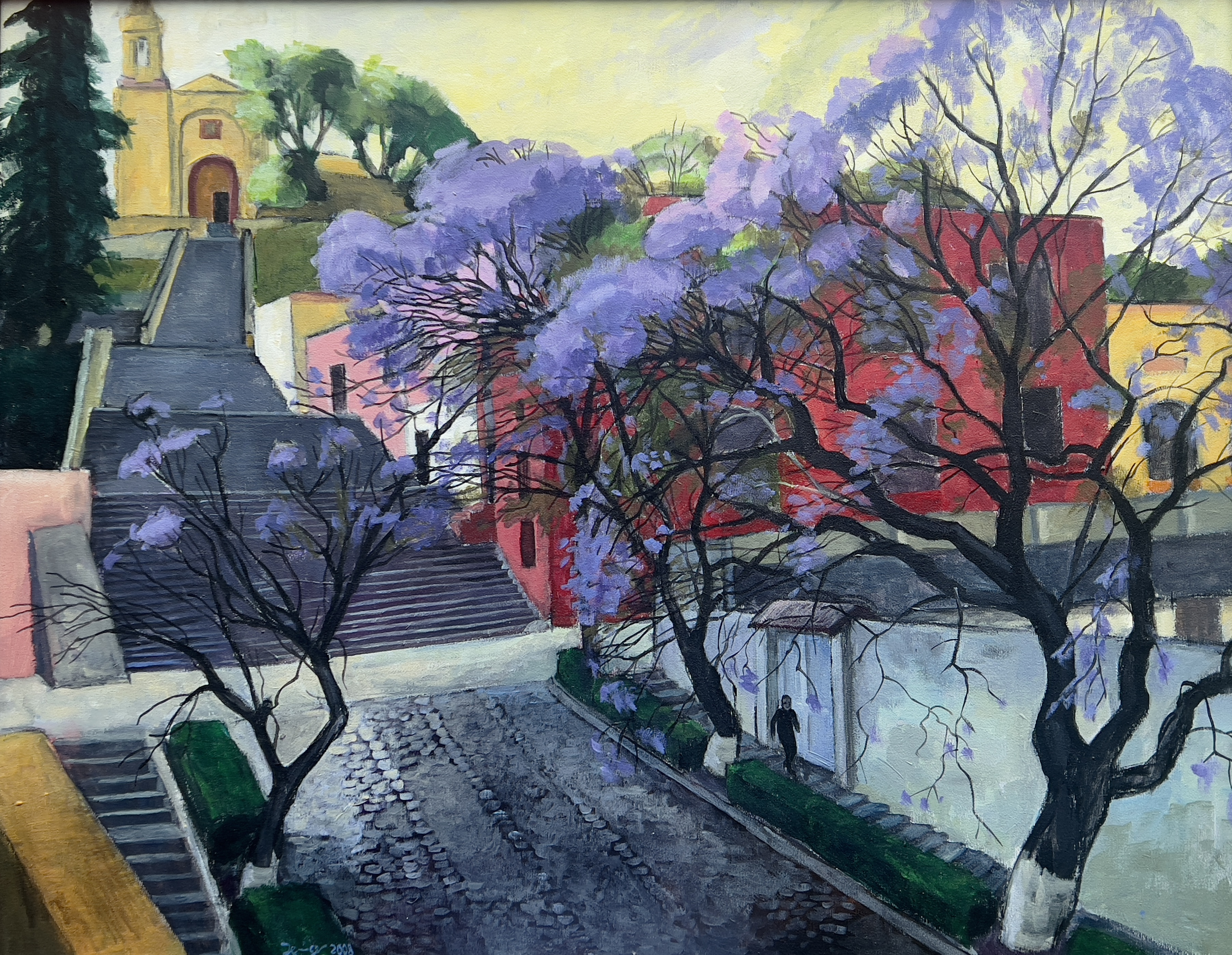 Mexiko - Jacarandas in Tlaxcala