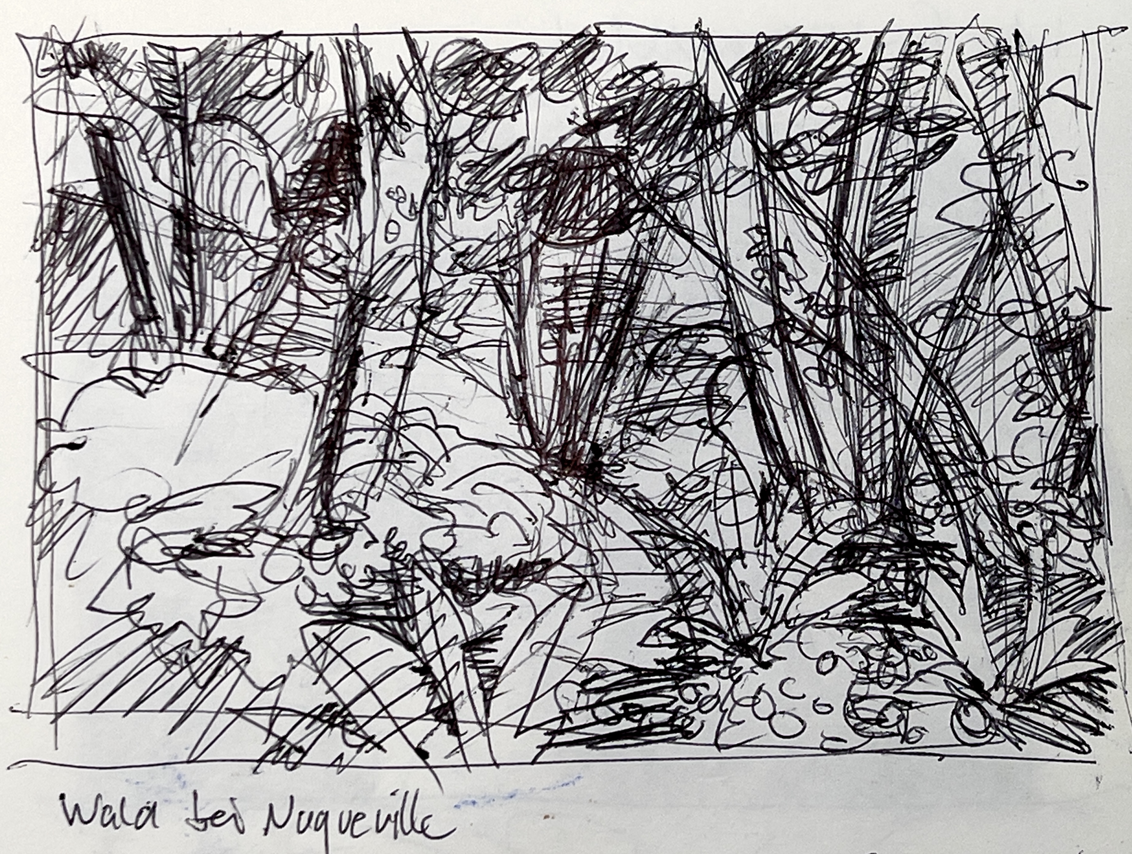 Normandie - Wald bei Dur Ecu