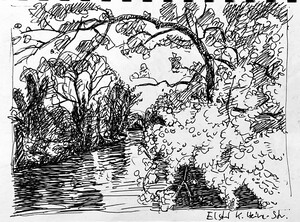 Elster an der Karl-Heine-Brücke