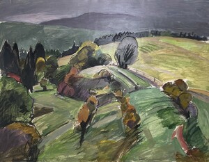 Niedere Tatra im Regen