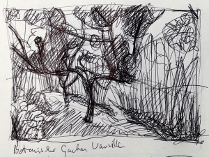 Normandie - Botanischer Garten Vauville