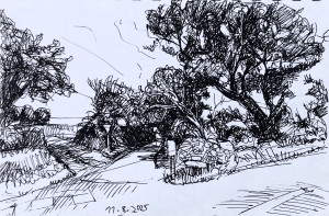 Normandie -Straße zum Meer