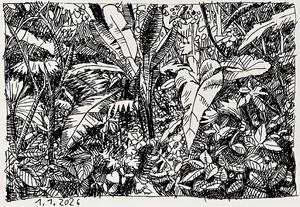 Regenwald Costa Rica